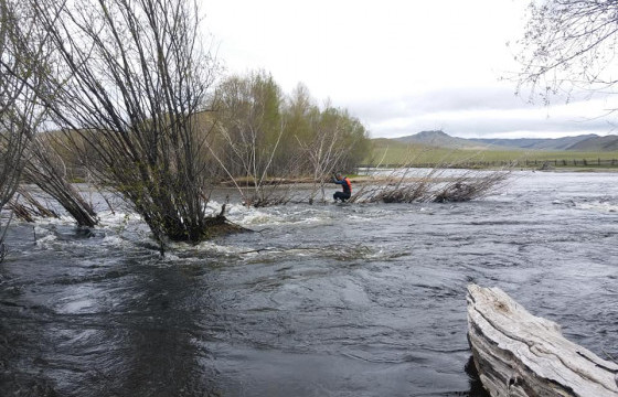 Туул голд автомашин живж, хоёр хүн амиа алджээ