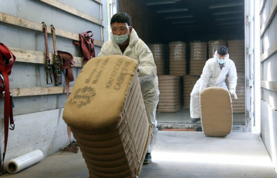 Итали Улс руу 20 тонн ноолуур тээвэрлэлээ