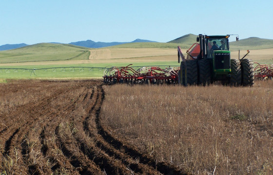 Улсын хэмжээнд 396 мянган га талбайд тариалалт хийжээ