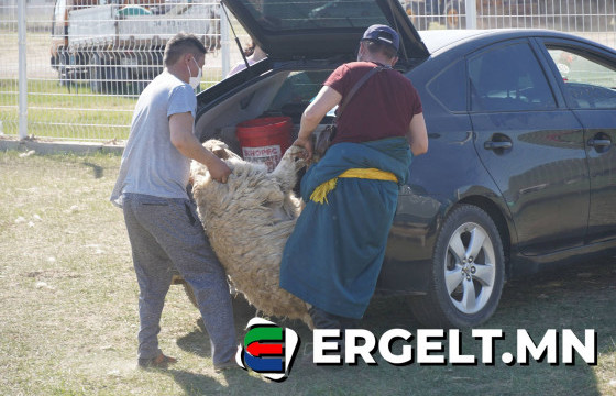 Хонь 120-300 мянган төгрөгийн үнэтэй байна