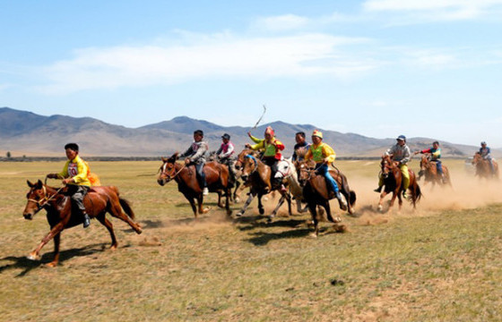 Монгол адууг эрлийз адуутай уралдуулахгүй байхыг шаардлаа