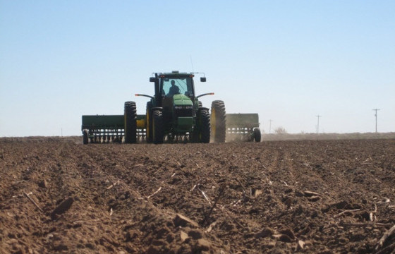 Улсын хэмжээнд тариалалт 89 хувьтай үргэлжилж байна