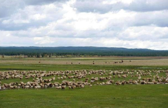 ХАА-г дэмжих зээлийг 13764 зээлдэгчид олгожээ