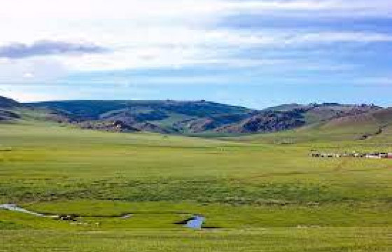 Б.Гантулга: Хониндоо явсан 10 настай охин төөрч, хээр хоносон байна лээ