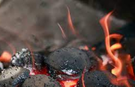 Гэр бүлээрээ угаартаж, хоёр хүүхэд нь нас баржээ