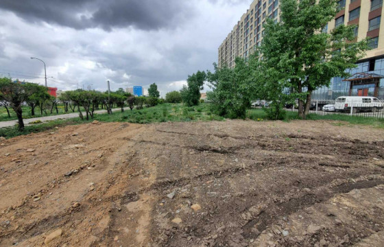 Найрамдлын цэцэрлэгт хүрээлэнгийн ногоон байгууламж устгасан үйлдэлд хариуцлага хүлээлгэнэ