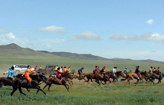 Уралдааны морь унадаг байсан хүү мориноосоо унаж, амиа алджээ