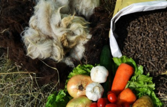 Монгол хонины ноосоор хийсэн бордоог европт экспортолж байна