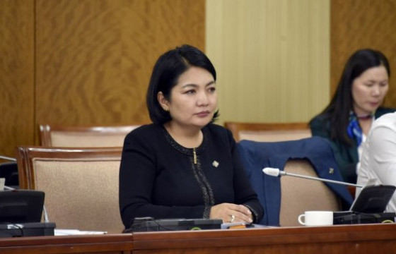 Б.САРАНЧИМЭГ: Номын өдөр нийтээр амарна гэдэг ташаа мэдээлэл