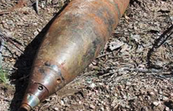 Гудамжнаас их бууны сум олджээ