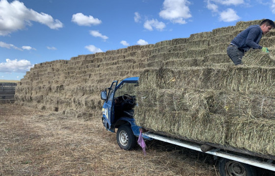 Бичигт боомтод 200 тонн боодол өвс шатжээ
