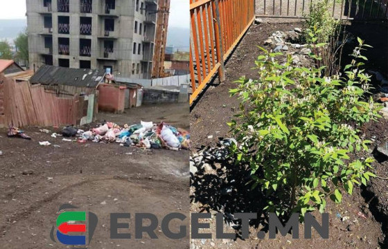 Э.ДОРЖБАЛ: Ажилтнууд минь сэтгэлээрээ мөнгө цуглуулж, хогийн цэг байсан газрыг цэвэрлэж, мод тарьсан