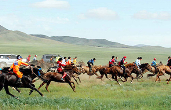 СУРВАЛЖИЛГА: Хурдан морины нэмэлт уураг бэлдмэлүүд 25-400 мянган төгрөгийн үнэтэй байна