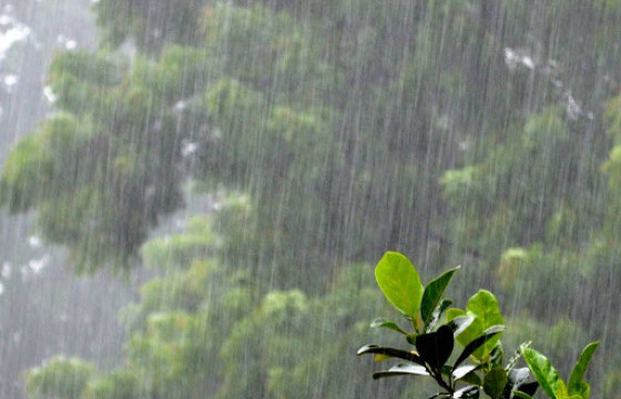 ЦАГ АГААР: Дуу цахилгаантай аадар бороо орно