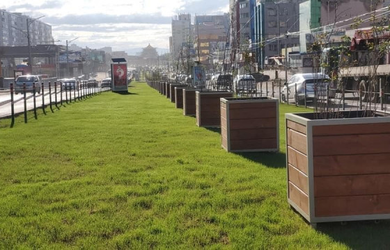 15 мянган метр квадрат зам ногоон зүлэгтэй, бүрэн тохижилттой боллоо