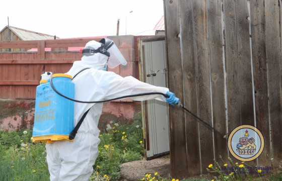 20 мянган өрхийн нүхэн жорлонд халдваргүйтгэл хийж байна