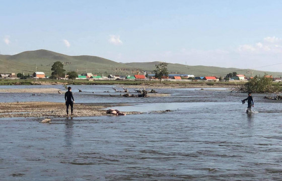 Завьт эргүүлийнхэн хүний амь аварчээ