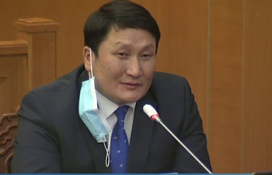 Н.ГАНИБАЛ: Төрийн наадамд баячууд эрлийз адуу авчраад, авлига өгөөд уралдуулдагийг таслан зогсооно