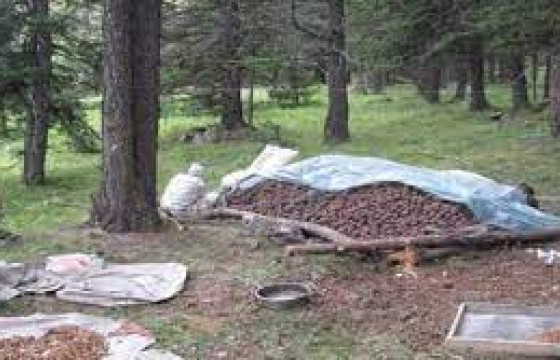 Самар түүхээр явсан иргэн сураггүй болжээ