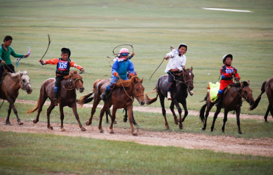 12 настай унаач хүүхэд моринд чирэгдэж амиа алджээ