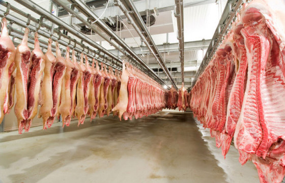 Малчдын малыг өндөр үнэ хэлж, бэлчээрээс нь “шүүрч” байна