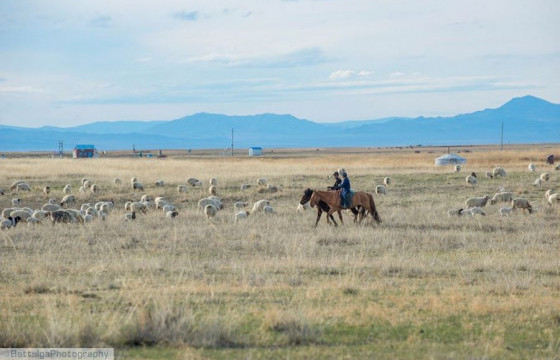 Унаач хүүгийн эгч: Талийгаач малчин айлын бага хүүхэд нь байсан