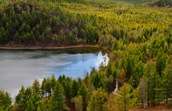 Ойн сан, голын онцгой хамгаалалтын бүсэд газар олгохгүй байх санал гаргалаа
