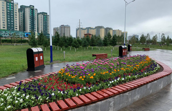 Д.БАТБОЛД: Нийслэлийн гудамж, талбайд 100 мянган ширхэг цэцгийг 70 сая төгрөгөөр суулгана