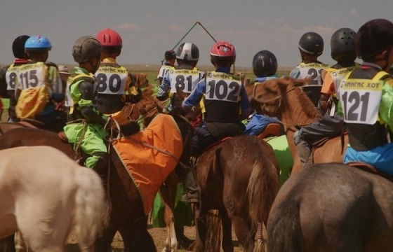 НҮБ: 18-аас доош насны хүүхдээр хурдан морь унуулахгүй байхыг зөвлөв