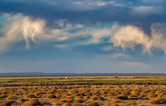 Дэлхийн биологийн түшиц газар нутагт Монголын дөрвөн газар нутгийг тодорхойлжээ