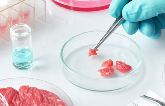 Хиймэл махыг 12500 ам.долларын төсвөөр лабораторид “ургуулж” байна