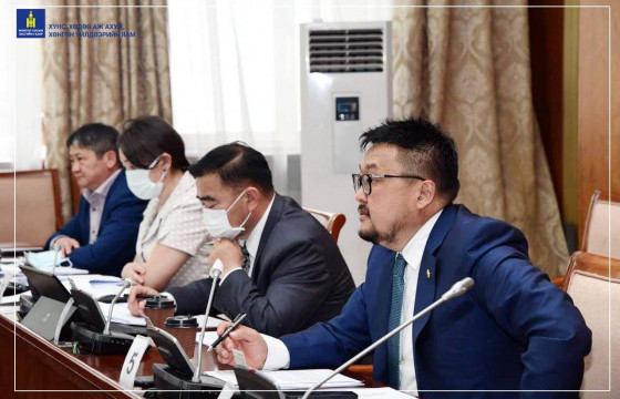 Сайн сортын үрээр тариалалт хийснээр ургацыг 25-50 хүртэл хувиар нэмэгдүүлэх боломжтой