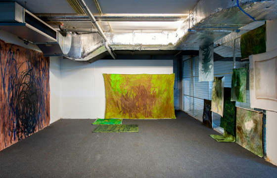 Г.Аюурзанын охин А.Гэгээ Нидерландын хааны нэрэмжит Дүрслэх урлагийн академид үзэсгэлэнгээ нээжээ