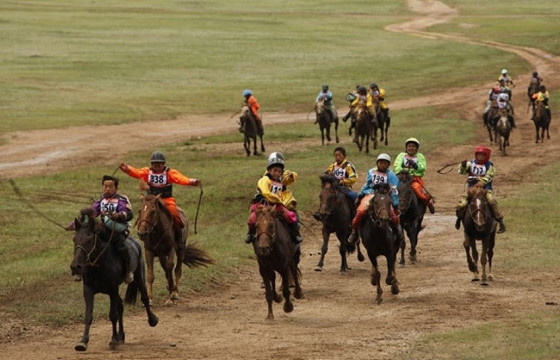 Налайхад 300 орчим хүн цуглуулж, хурдан морины сунгаа хийсэн уяачид хариуцлага тооцжээ