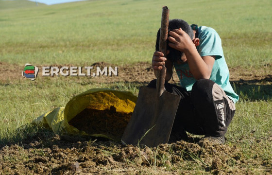 ЭРГЭЛТИЙН ОНЦЛОХ НИЙТЛЭЛ: Өдөржин хараалгаж, зодуулж, элдвээр доромжлуулан, хүнд хүчир ажил хийх УНААЧ ХҮҮХДҮҮДИЙН ГУНИГТ ТЭМДЭГЛЭЛ