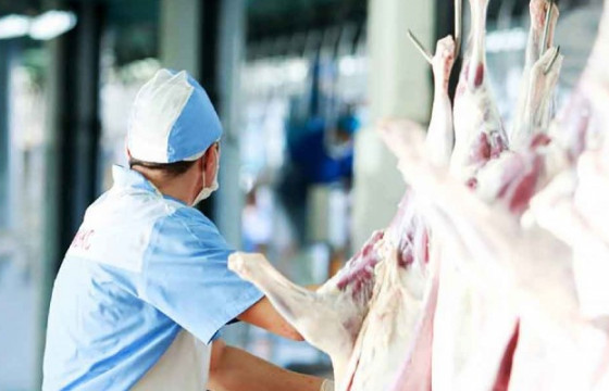 Нөөцийн мах бэлтгэх хүсэлтийг авч эхэлжээ