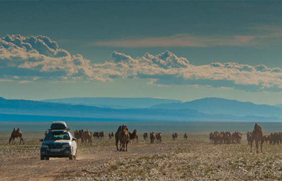 УОК: Хөдөө орон нутаг руу зорчиход ам бүлийн тоо заагаагүй