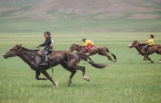 Б.МӨНХЦЭЦЭГ: Нэг галын уяачид 10 гаруй морь уралдуулж, үсэргээн явуулах гэж байсан