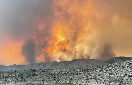 АНУ-д 47.2 хэм халсны улмаас ойн түймэр гарчээ