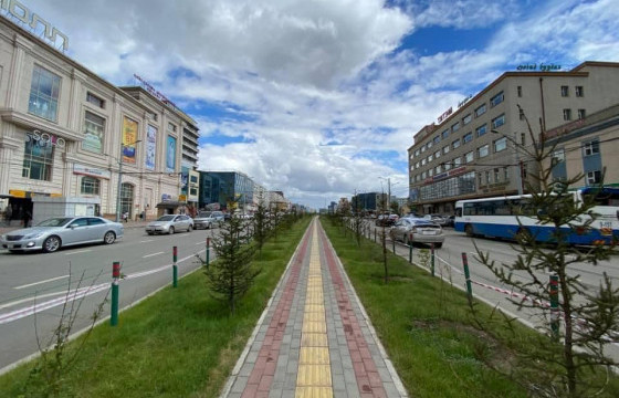 Хотын гудамж талбайн ногоон байгууламжийн арчилгааг тогтмол хийж байна