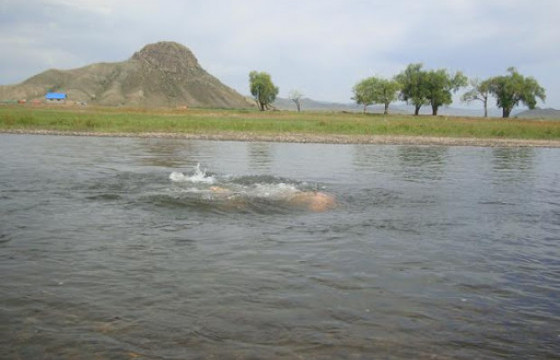 Хараа голд осолдсон иргэнийг эрэн хайх ажиллагаа үргэлжилж байна