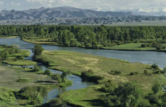 Туул голд живсэн 15 настай хүүгийн цогцсыг олжээ