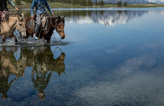 Нэг иргэн нуурын усанд морьтойгоо живжээ