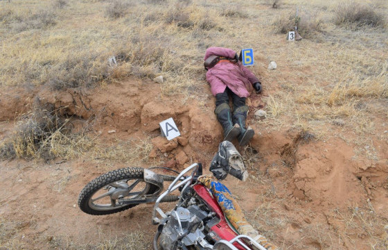 Өнгөрсөн онд хятад мотоцикл Монголоос 50 тэрбум төгрөг, 116 хүний амь авчээ