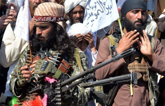 Афганистаны Засгийн газар, Талибан бүлэглэл найрамдлын хэлэлцээ хийнэ