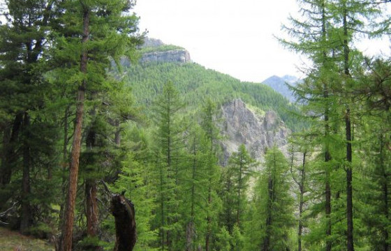 Зүрх ууланд төөрсөн хөгжлийн бэрхшээлтэй иргэнийг эрэн хайж байна