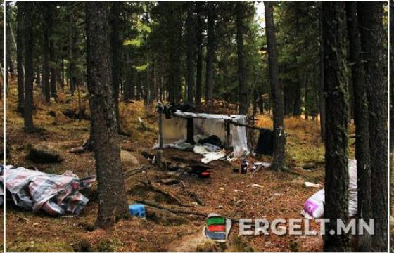 Сайхан сэтгэлтэй монголчууд ой хөвчид төөрсөн дөрвөн хүний амийг аварлаа