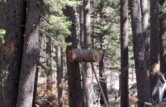 Самар түүхээр яваад сураггүй болсон иргэнийг хайж байна