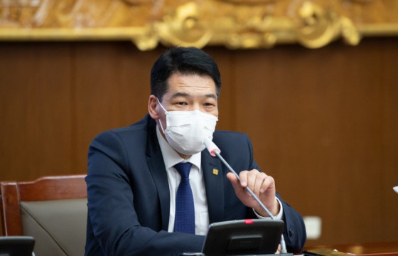 С.ЭНХБОЛД: Манай улсад амьсгалын аппарат 1087, Экмо аппарат гурав бий