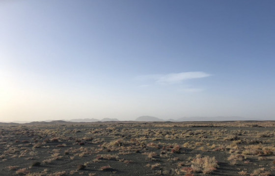 Малд яваад сураггүй болсон хоёр эмэгтэйг эсэн мэнд олжээ
